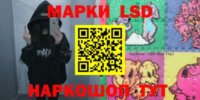 дмт Новодвинск