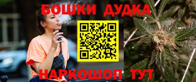 дмт Новодвинск