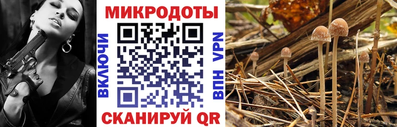 где продают Тейково Галлюциногенные грибы GOLDEN TEACHER