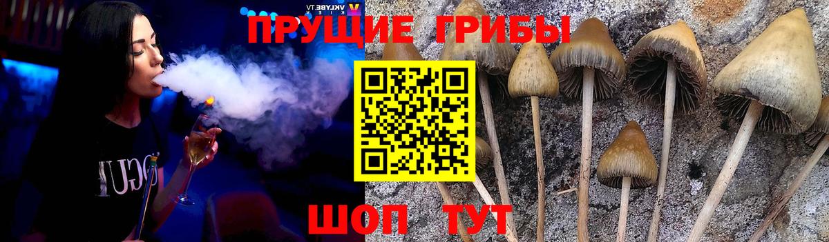 Галлюциногенные грибы Magic Shrooms Тейково