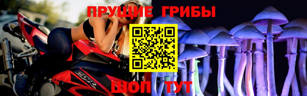 Тейково  где купить наркотик  Вход с VPN  Псилоцибиновые грибы мицелий 