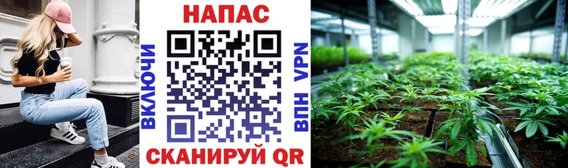 Бошки Шишки индика  Тейково 