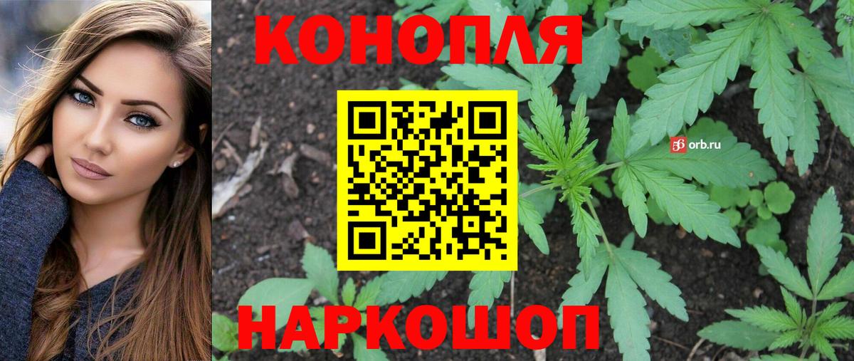 Каннабис план Тейково